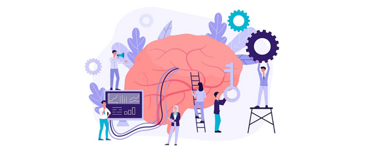 Neuromarketing táctil🧠🔥